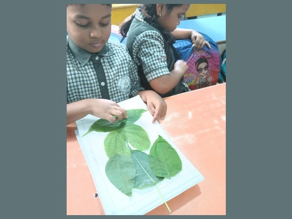 Traffic Awareness Program 